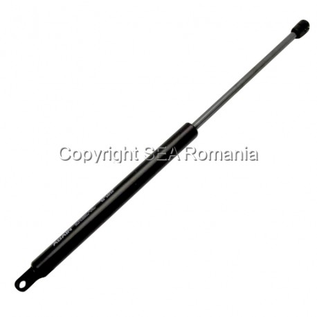 PISTON PENTRU PAT RABATABIL 300NW 424.75.300