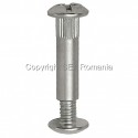 SURUB CUPLARE PIULITA M4X5X30MM 432.02.30