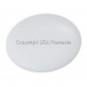 CAPAC PLASTIC CAP INECAT PZ2 ALB 500 BUC 230.02.11