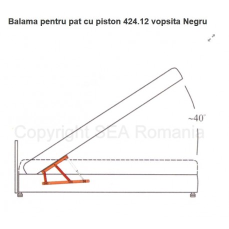 BALAMA PAT CU PISTON 424.12.01
