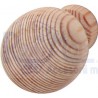 BUTON LEMN ROTUND PIN 33X29MM 196.74.009