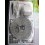 KIT BANDA CU LED L 5000MM ( LUMINA RECE ) L12.16K4.52