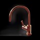 BATERIE ALVEUS ARC 70 MONARCH COPPER 1089805